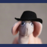 Elephant Finds Top Hat